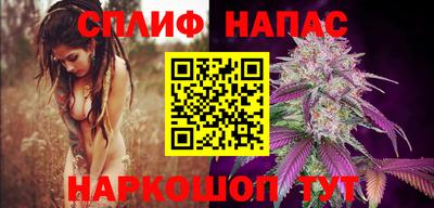 сатива Бузулук